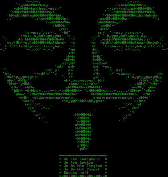 anonymous external attack v2